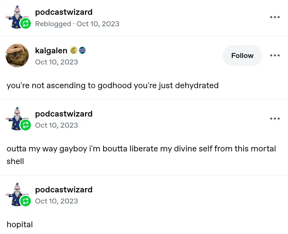kaigaien: you're not ascending to godhood you're just dehydrated, podcastwizard: outta my way gay boy i'm boutta liberate my divine self from this mortal shell, hopital