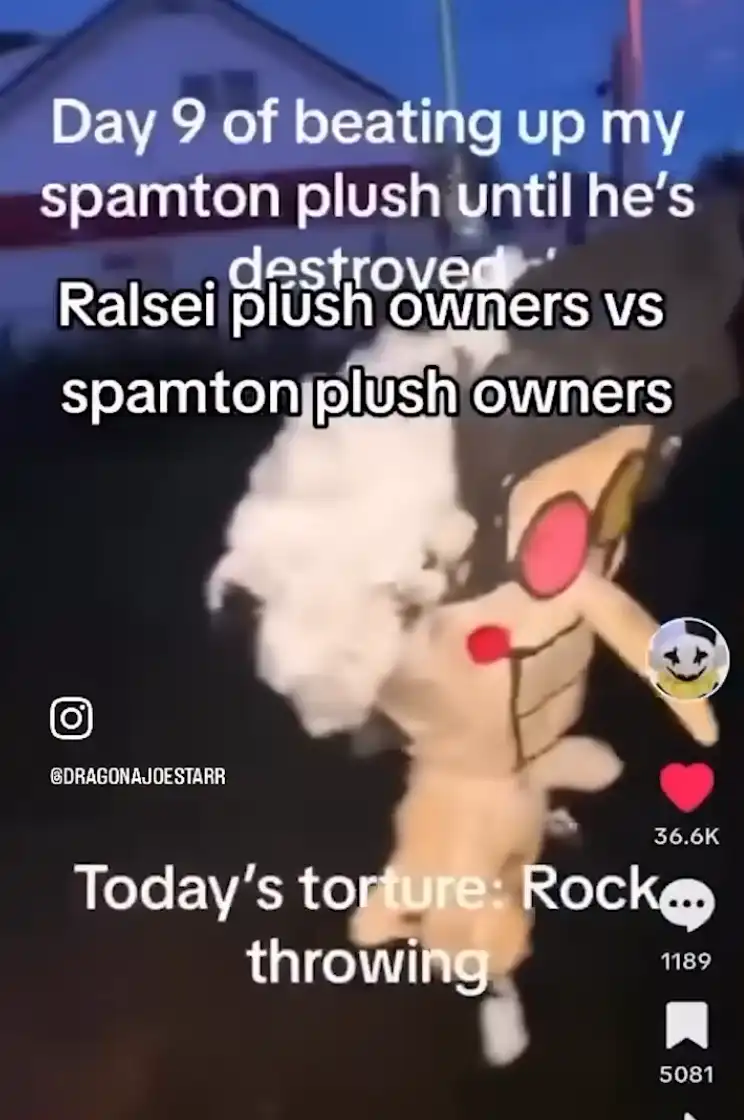day 9 of beating up my spamton plush until he's destroyed today's torture rock throwing